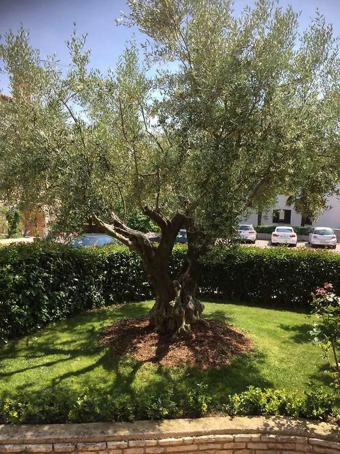 Apartman Alberta Porec 0*,